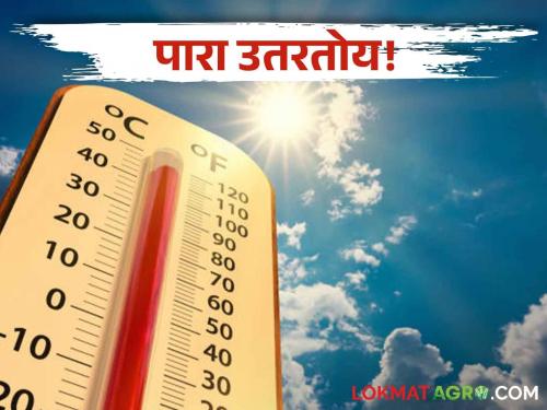 Maharashtra Temperature: The mercury is slowly coming down! Temperature drop in Marathwada along with Madhya Maharashtra in the state | Maharashtra Temperature: पारा हळूहळू उतरतोय! राज्यात मध्य महाराष्ट्रासह मराठवाड्यात तापमानात घट