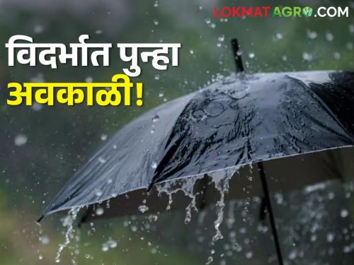 Thunderstorm rain forecast with hail from today in Vidarbha, Meteorological department alert for these districts | विदर्भात आजपासून वादळी पावसासह गारपीटीचा अंदाज, या जिल्ह्यांना हवामान विभागाचा अलर्ट