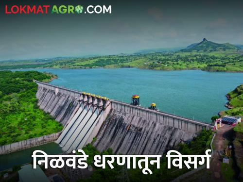 1200 cusec discharge from Nilwande Dam into Pravara River | निळवंडे धरणातून प्रवरा नदीत १२०० क्यूसेक विसर्ग