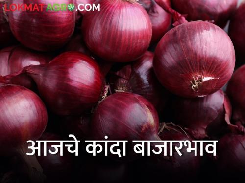 latest news 17 January 2024 today's onion market price in nashik and maharashtra | कांद्याची आवक वाढली, दरातही घसरण, आजचे कांदा बाजारभाव 