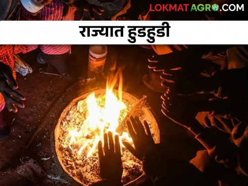 The state temperature has fallen! Nashik 7.4 degrees, the rest of the state also continues to be cold | राज्य गारठले! नाशिक ७.४ अंश,  उर्वरित राज्यातही हुडहुडी कायम