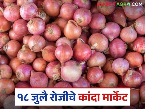 Latest News Kanda Market 1 lakh quintals of summer onion arrived in Nashik district on July 18 | 18 जुलै रोजी नाशिक जिल्ह्यात उन्हाळ कांद्याची 1 लाख क्विंटलची आवक, काय भाव मिळाला? 