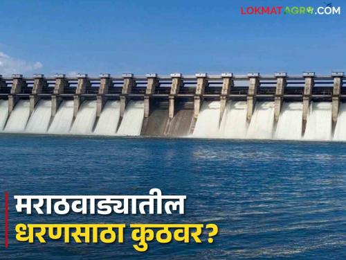 Marathwada Dam Water: How much water is left in the dams in Marathwada, information from the Water Resources Department | Marathwada Dam Water: मराठवाड्यातील धरणांमध्ये राहिलंय एवढं पाणी, जलसंपदा विभगाची माहिती