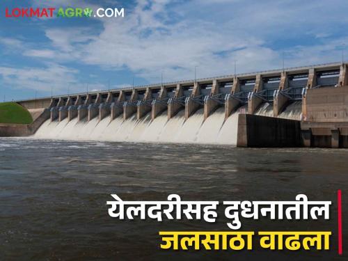 Rains have increased water storage in Yeldari along with Dudhan, a relief to hundreds of villages | पावसाने येलदरीसह दुधनात जलसाठा वाढला, शेकडो गावांना दिलासा