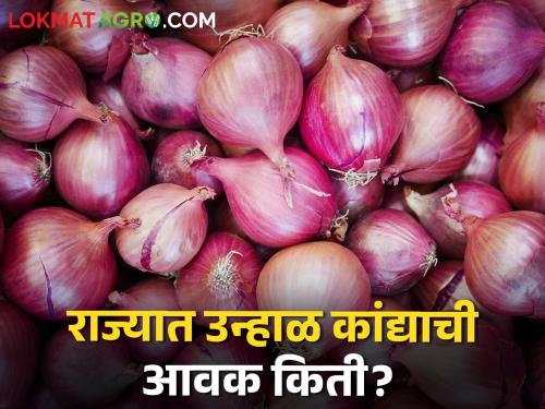 Latest News Todays Onion Market Price in maharashtra market yards | Onion Market : उन्हाळ कांदा दरात घसरण, लासलगाव बाजार समितीत काय भाव मिळाला? 