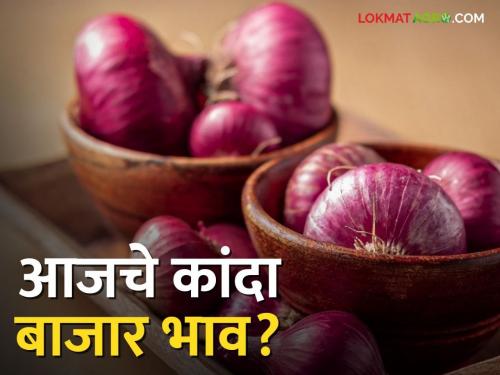 latest News 19 may 2024 todays Onion Market Price in market yards check details | Onion Market : आज कांद्याची 48 हजार क्विंटलची आवक, कुठे-काय भाव मिळाला? वाचा सविस्तर 