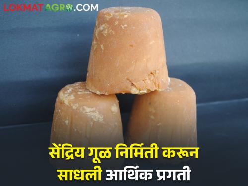 Addition of Industry to Sugarcane Farming; A profit of four lakh per hectare is being obtained from organic jaggery production | ऊस शेतीला उद्योगाची जोड; सेंद्रिय गुळ निर्मितीतून मिळतोय हेक्टरी चार लाखांचा नफा