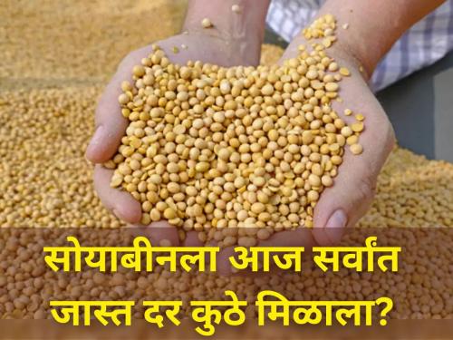 Where did soybeans get the highest price today Let know the prices of onion soybeans market yard | सोयाबीनला आज सर्वांत जास्त दर कुठे मिळाला? जाणून घ्या कांदा-सोयाबीनचे दर