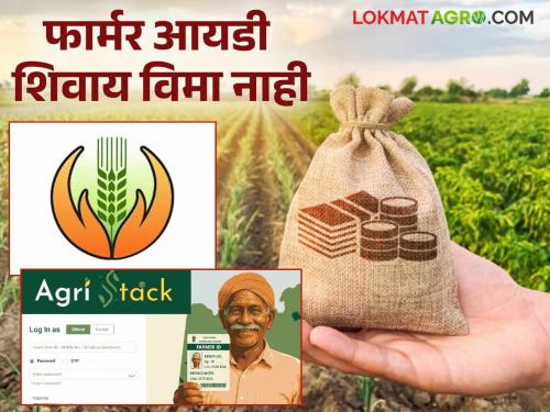 Farmer ID: Farmers...! If you do not have a Farmer ID, you will not get the benefit of the crop insurance scheme. | Farmer ID : शेतकऱ्यांनो...! फार्मर आयडी नसेल तर मिळणार नाही पिक विमा योजनेचा लाभ