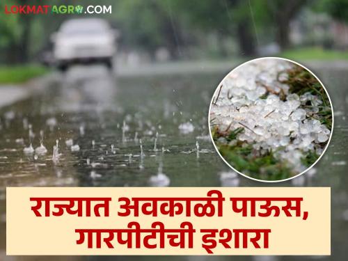 Hailstorm: Chance of hail with unseasonal rain in the state, where is the warning? | Hailstorm: राज्यात अवकाळी पावसासह गारपीटीची शक्यता, कुठे आहे इशारा?