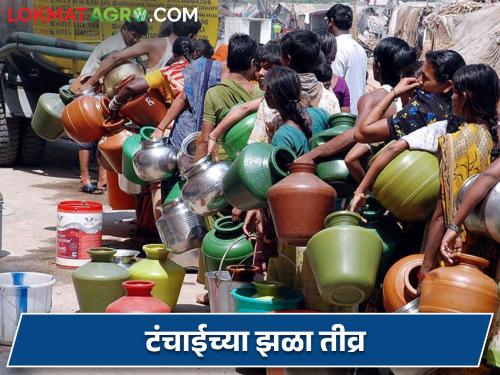 Water crisis has started to affect wadi, wasti, tanda too, severe water shortage in 34 villages including Parli. | वाडी, वस्ती, तांड्यावरही घोंगावू लागले जलसंकट, परळीसह ३४ गावांत तीव्र पाणीटंचाई