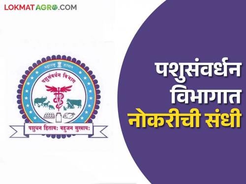 Government Job: Job Opportunity in Animal Husbandry Department, 12th Pass, Graduates Preference, Know Selection Process.. | Government Job: पशुसंवर्धन विभागात नोकरीची संधी, बारावी उत्तीर्ण, पदवीधरांना प्राधान्य, जाणून घ्या निवडप्रक्रीया..