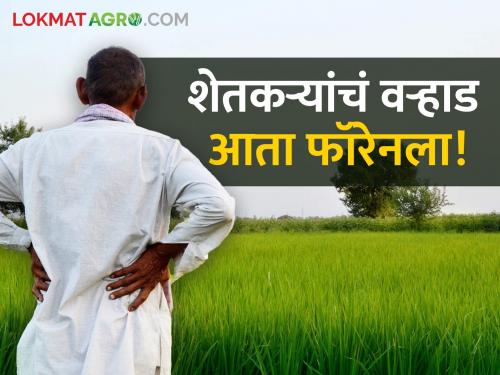 Farmers will go abroad, apply immediately | शेतकऱ्यांचे वऱ्हाड निघणार फॉरेनला, लगेच अर्ज करा..