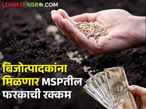 Seed producers will get subsidy to recover minimum support prize and market rate | बिजोत्पादकांसाठी खूशखबर! मिळणार MSPतील फरकाची रक्कम