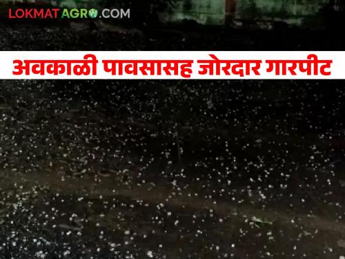 The resurgence of the season; Heavy hail in these areas including Jalna, Jalgaon | अवकाळीचा पुन्हा दणका; जालना, जळगावसह या भागात जोरदार गारपीट