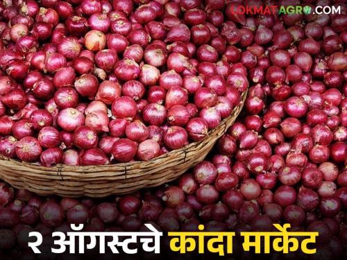 Latest News Kanda Market todays onion market in Lasalgaon and Pimpalgaon Read in detail | Kanda Market : 2 ऑगस्टला लासलगाव, पिंपळगाव कांदा मार्केटला आवक किती झाली, काय भाव मिळाला?