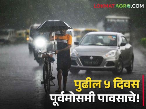 Maharashtra weather update: Yellow alert of heavy rains for 15 districts including Pune in the state, Met department forecast | Maharashtra weather Update: राज्यात पुण्यासह १५ जिल्ह्यांना मुसळधार पावसाचा यलो अलर्ट