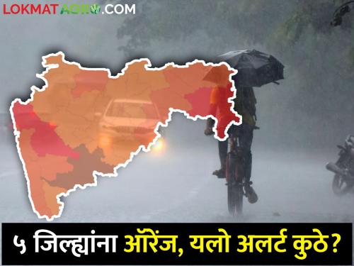 Maharashtra Rain: 4 districts including Nagpur orange alert, yellow alert of weather department where where? | Maharashtra Rain: नागपूरसह ४ जिल्ह्यांना हवामान विभागाचा ऑरेंज अलर्ट, यलो अलर्ट कुठे कुठे?