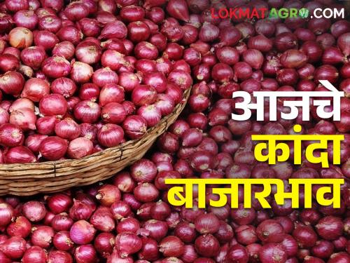 Latest News 21 Feb 2024 todays Onion Market Price In Nashik and maharashtra | लासलगाव बाजार समितीत कांदा घसरला, आज कुठे, काय बाजारभाव मिळाला? 