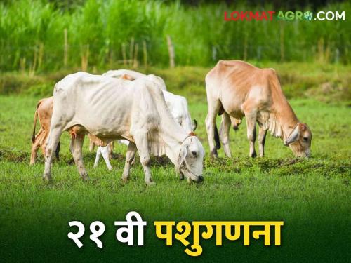 Pashu ganana 2024: Livestock census will be conducted from September to December 2024 in country | Pashu ganana 2024 देशात सप्टेंबर ते डिसेंबर २०२४ या कालावधीत पशुगणना होणार