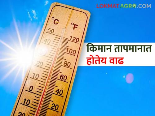 cold weather in Vidarbha, Madhya Maharashtra; Mercury is rising in Marathwada, what is the temperature today? | विदर्भ, मध्य महाराष्ट्रात हुडहुडी; मराठवाड्यात पारा चढतोय, काय आहे आजचे तापमान?