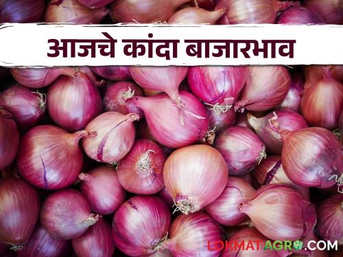 Latest News Today Onion Bajarbhav In lasalgaon Market yard check here market price | Onion Bajarbhav : लासलगाव बाजारात उन्हाळ कांद्याला काय भाव? जाणून घ्या सविस्तर बाजारभाव