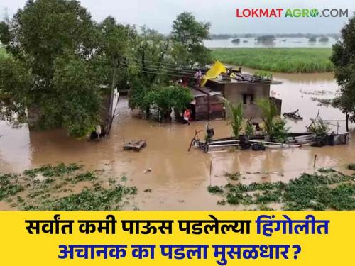 Hingoli Heavy Rain Why is it raining heavily for the last two days in Hingoli, which has the lowest average rainfall in the state? | Hingoli Heavy Rain : राज्यातील सर्वांत कमी सरासरी पाऊस पडलेल्या हिंगोलीत मागील दोन दिवसांपासून का पडतोय मुसळधार पाऊस?