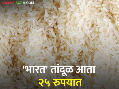 Government's 'Bharat' brand rice will now get Rs 25 per kg! | सरकारचा 'भारत' ब्रँडचा तांदूळ आता मिळणार २५ रुपये किलो!