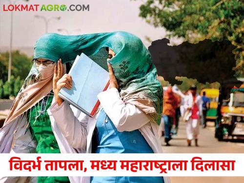 Maharashtra Temperature: In Vidarbha the body is sweltering due to the heat, in Madhya Maharashtra the temperature drops | Maharashtra Temperature: विदर्भात उष्णतेने अंगाची लाही लाही, मध्य महाराष्ट्रात तापमानात घट