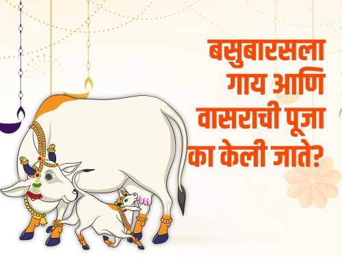 vasubaras! How the tradition of cow-calf worship is preserved in Goshalas | गायी म्हशी ओवाळी! गोशाळांमध्ये कशी जपतात गाय-वासरू पूजनाची परंपरा