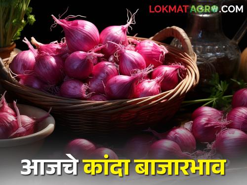 Income decreased in the state, how did onion market price? Today's onion market price | राज्यात आवक घटली, कांदा बाजारभाव कसा मिळाला? आजचे कांदा बाजारभाव 