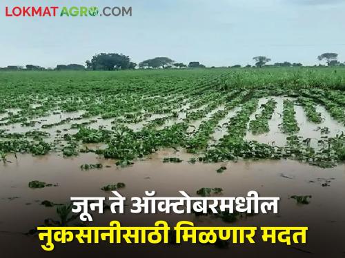 Fund sanctioned for farmers in Buldhana who suffered losses between June and October | बुलढाण्यातील शेतकऱ्यांसाठी खूशखबर! जून ते ऑक्टोबर दरम्यान झालेल्या नुकसानीसाठी निधी मंजूर