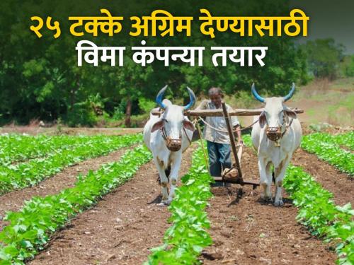 Insurance companies agree, 25 lakh farmers will get 1,352 crores | विमा कंपन्या राजी, २५ लाख शेतकऱ्यांना मिळणार १,३५२ कोटी