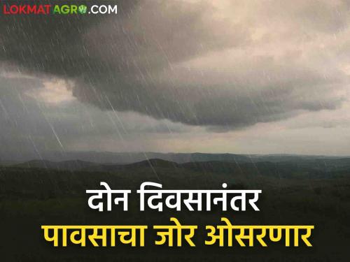 Maharashtra Rain Updates Heavy rain today and tomorrow in the state After two days, the intensity of rain will decrease | Maharashtra Rain Updates : राज्यात आज-उद्या मुसळधार! दोन दिवसानंतर पावसाचा जोर होणार कमी