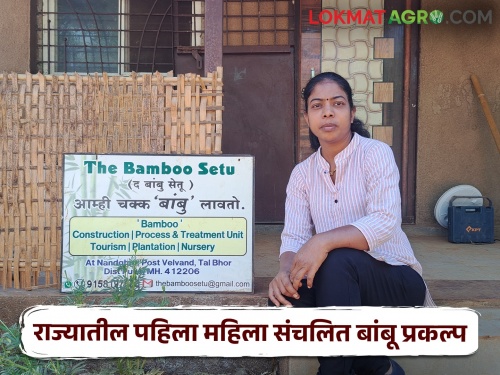 The Bambu Setu: The first bamboo project in the state run by women in remote areas of Bhor | द बांबू सेतू : भोरमधील अतिदुर्गम भागात महिला चालवतेय राज्यातील पहिला बांबू प्रकल्प