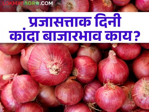 What is the market price of Onion on Republic Day? Know in detail | प्रजासत्ताक दिनी कांद्याचा बाजारभाव काय? जाणून घ्या सविस्तर 