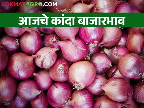 Onion at nine hundred rupees per quintal, read today's onion market price | कांदा प्रतिक्विंटल नऊशे रुपयांवर, वाचा आजचे कांदा बाजारभाव 