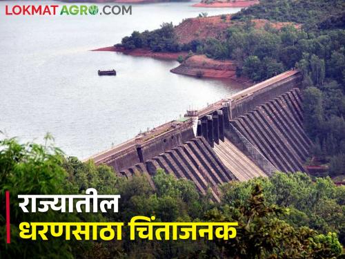 Alarming! 46.60 percent water remaining in the dams of the state now, how much stock in which dam? | चिंताजनक! राज्यातील धरणांमध्ये आता ४६.६० टक्के पाणी शिल्लक, कोणत्या धरणात किती साठा?