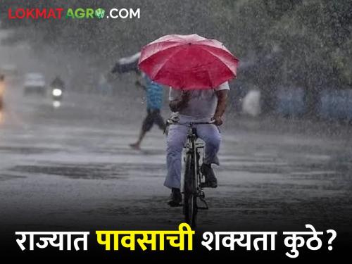 Chance of rain for the next four days in the state including Vidarbha, where is the yellow alert? | विदर्भासह राज्यात या भागात पुढील चार दिवस पावसाची शक्यता, कुठे यलो अलर्ट?