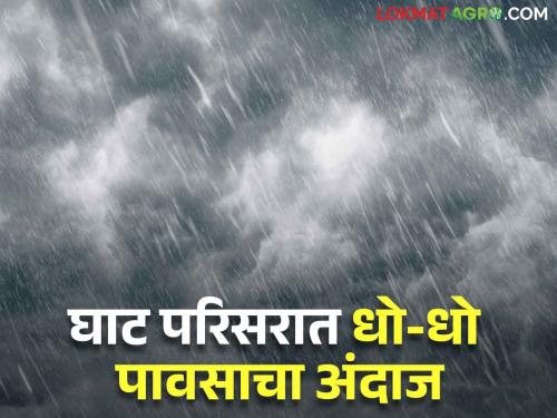 Two days of rain: Yellow alert in Madhya Maharashtra, Konkan, Marathwada | दोन दिवस पावसाचे : मध्य महाराष्ट्र, कोकण, मराठवाड्यात यलो अलर्ट