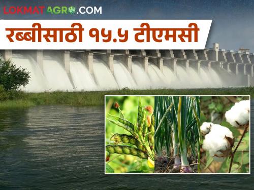 15.5 TMC water for Rabi season, when will water be released from Jayakwadi? | रब्बी हंगामासाठी १५.५ टीएमसी पाणी, जायकवाडीतून कधी सोडणार पाणी?