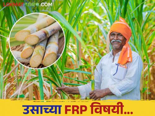 What is Sugarcane FRP Who announces FRP and when sugarcane factory | Sugarcane FRP : उसाचा एफआरपी म्हणजे काय? FRP कोण व केव्हा जाहीर करते?