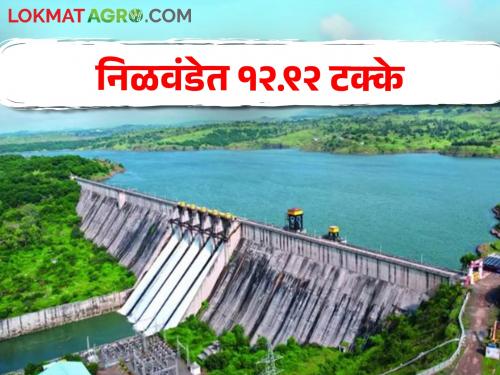 Now only 12.92 percent in Nilwande Dam, how much is Radish, Bhandardara? | निळवंडे धरणात आता केवळ १२.९२ टक्के, मुळा, भंडारदरा किती?