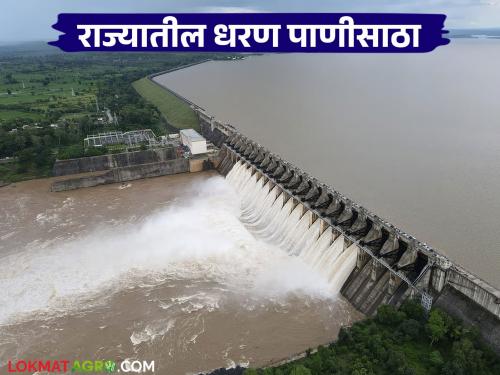 Latest News Maharashtra Dam storage How much water is stored in major dams till June 30 | Maharashtra Dam Storage : राज्यातील 'ही' धरणे शंभरीजवळ, पहा तुमच्या जिल्ह्यातील धरणांत किती पाणी?