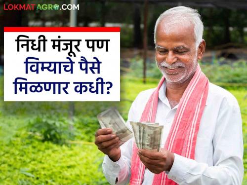 hortiulture Crop Insurance Farmers will get compensation 814 crore rupees for crop insurance But when | Crop Insurance : फळपीक विम्यासाठी निधी मंजूर पण वाटप कधी? शेतकऱ्यांमध्ये संताप