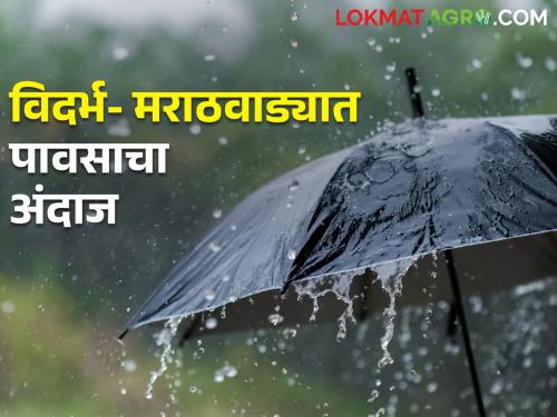 Chance of rain with thunder in Vidarbha- Marathwada, what is the forecast? | विदर्भ- मराठवाड्यात ढगांच्या गडगडाटासह पावसाची शक्यता, काय आहे राज्याचा अंदाज?