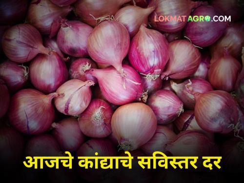 Onion Rates in market yard nashik lasalgaon nafed onion purchase curruption | Onion Rates : नाफेड खरेदी भ्रष्टाचाराच्या धामधुमीत बाजार समितीमध्ये कांद्याला किती मिळतोय दर?