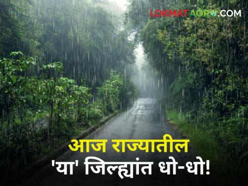 Todays maharashtra monsoon Rain Updates Rain alert in 'these' districts in the state today Where will it rain? | Today's Rain Updates : राज्यात आज 'या' जिल्ह्यांत पावसाचा अलर्ट! कुठे किती पडणार पाऊस?