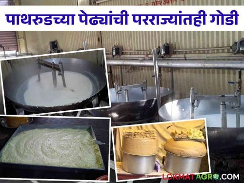 Pathrud's pedha are sweet even in foreign countries; Thousands of hands are employed due to generation of pedhas | पाथरुडच्या पेढ्यांची परराज्यांतही गोडी; पेढे निर्मितीमुळे हजारोंच्या हाताला काम