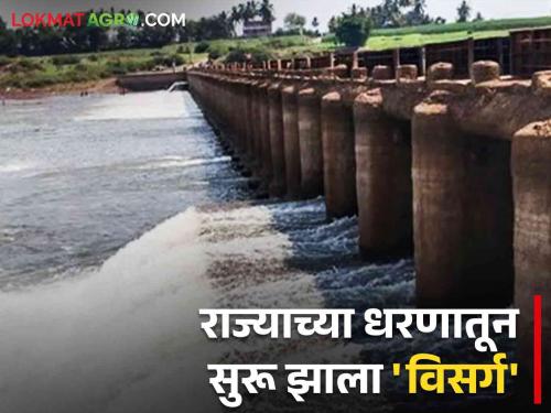 Water release started from 'this' dam of the state; Read the update | Water Release from Maharashtra Dam: राज्याच्या 'या' धरणातून सुरू झाला पाण्याचा विसर्ग; वाचा अद्यावत माहिती